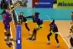 BJB Tandamata Tekuk Gresik Petrokimia 3-0 di Ajang Proliga 2020