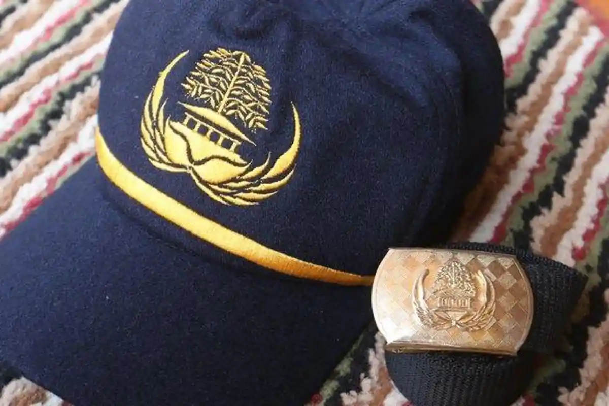 CPNS Lampung, 2 Peserta Dipastikan Gugur Seleksi SKB Mesuji