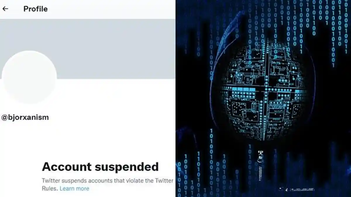 Siapa Sangka, Kini Akun Twitter Hacker Bjorka Kena Suspended, Warganet Minta di Kembalikan