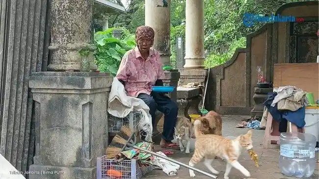 Kisah Nenek Tinggal 30 Tahun di Makam Tionghoa Jakarta Timur, Pernah Dibantu Olga Syahputra