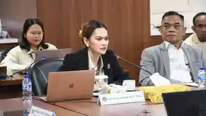 Akademisi-sekaligus-analis-hubungan-internasional-Ulta-Levenia.jpg