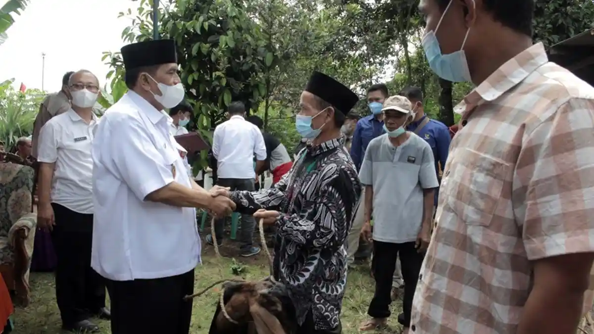 Asyik, Warga Desa Sangkanayu Dapat Bantuan 14 Kambing Jantan, Program CSR BPR BKK Purbalingga