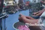 Tradisi-Jamasan-Perkutut-Katuranggan-mewarnai-perayaan-1-Suro-di-madiun.jpg