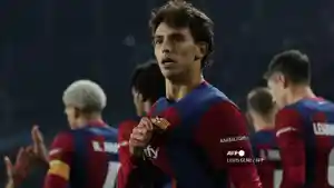 Pemain-Barcelona-Joao-Felix-merayakan-gol-pada-pertandingan-Liga-Champions.jpg