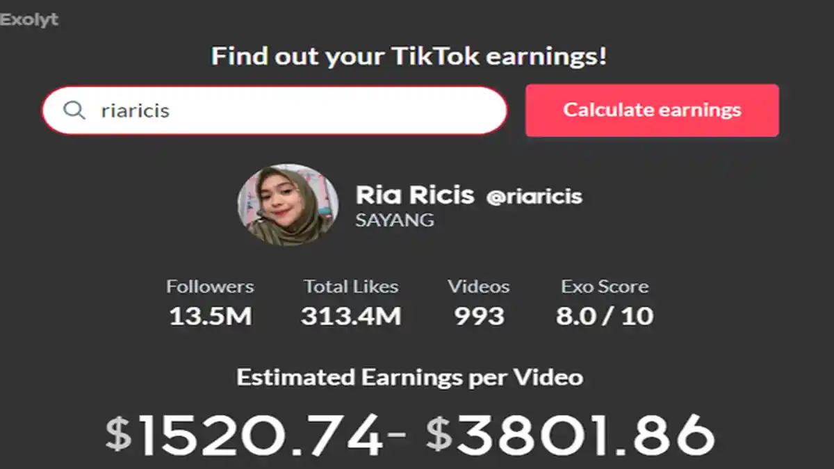 Exolyt.com Hitung Penghasilan Tiktok , Cek Langkahnya Mulai dari Salin Nama Pengguna
