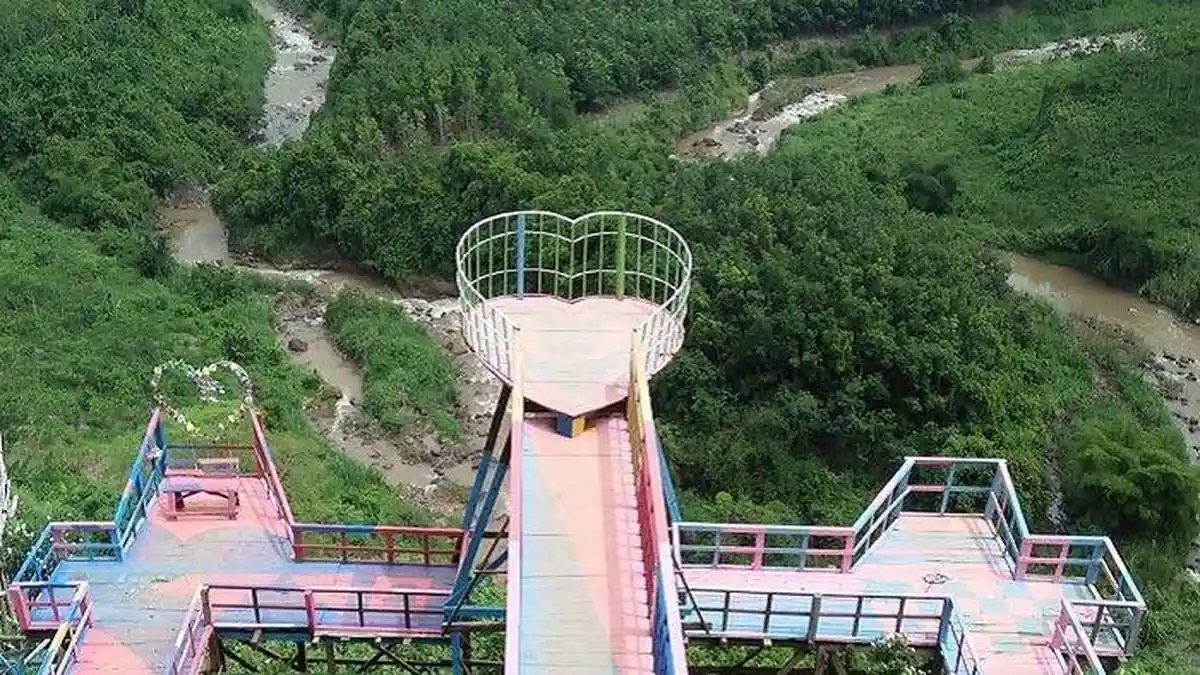 Melihat Perkebunan Pohon Sengon dari Jembatan Buntu Sengon di Batang