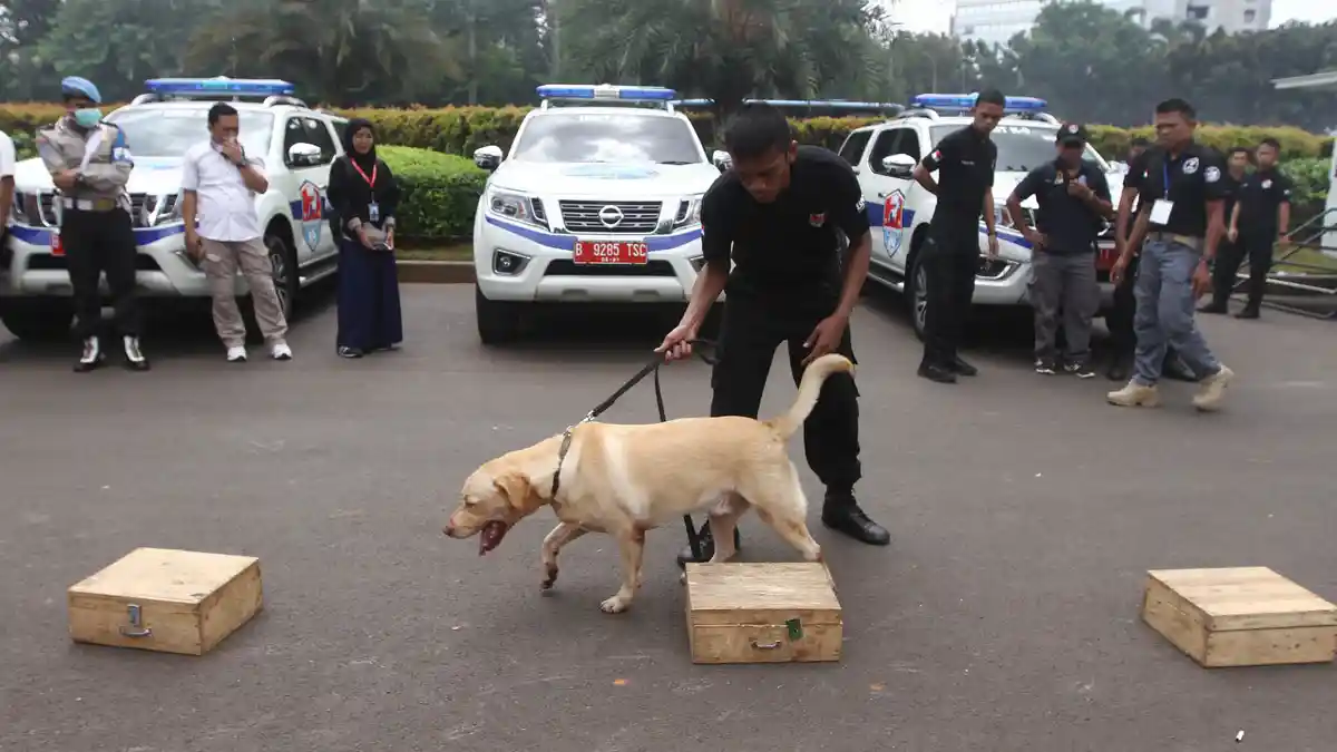 12 Anjing Pelacak dan Penjinak Bom Ikut Jaga Natal dan Tahun Baru di Makassar