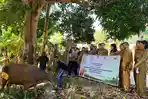 Gubernur NTT Serahkan Hewan Kurban Buat Umat di Masjid Al Azhar Oekabiti
