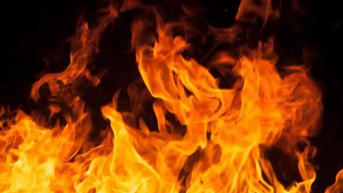 Detik-detik Petugas Damkar Padamkan Api di Kandang Ayam Secara Manual, Mobil Damkar Mogok