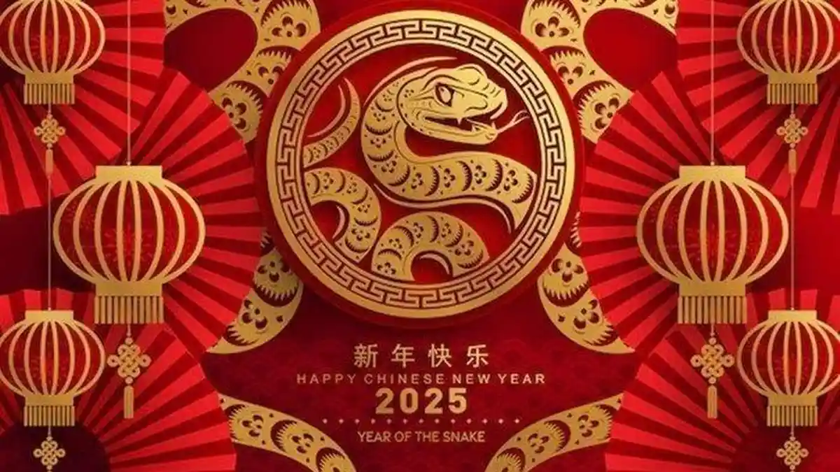 PREDIKSI SHIO Hari Ini Jumat 17 Januari 2025, Aura Positif Ular Dan Babi, Shio Kerbau Ingat Ini