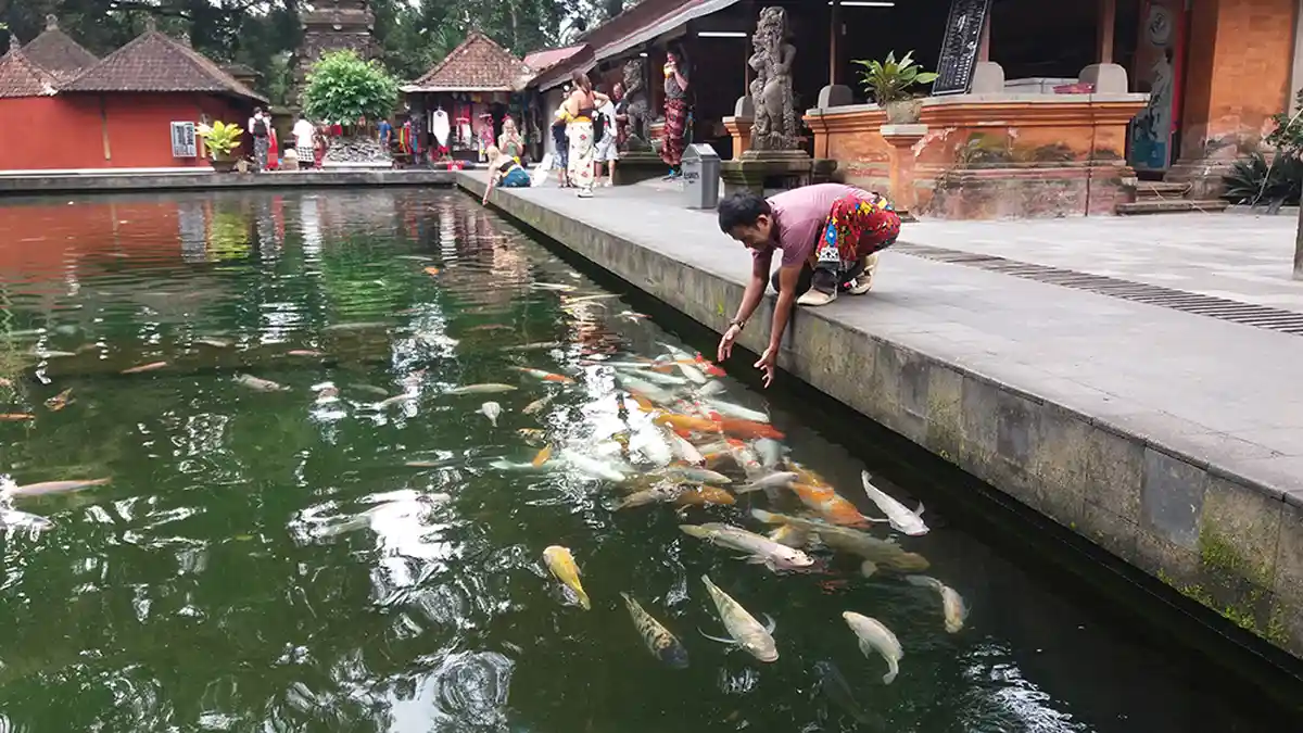 Pernah Bermimpi Menangkap Ikan? Hati-hati Jika Ikan yang Ditangkap Tak Bersisik