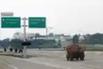 Pembangunan Tol Cijago Terus Dikebut