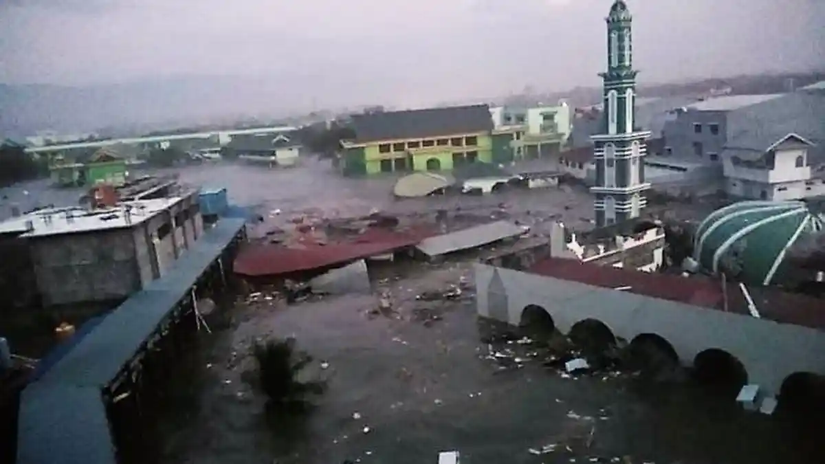 LIPI Sebut Morfologi Teluk Palu Jadi Penyebab Besarnya Tsunami