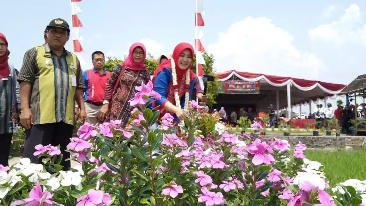 Bupati Klaten Serahkan Benih Padi dan Alsintan di Socokangsi Jatinom