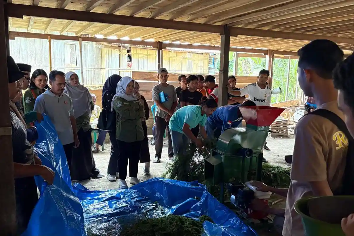 Tim Pengabdian Masyarakat Unsulbar Terapkan Integrated Farming System di Desa Adolang Majene