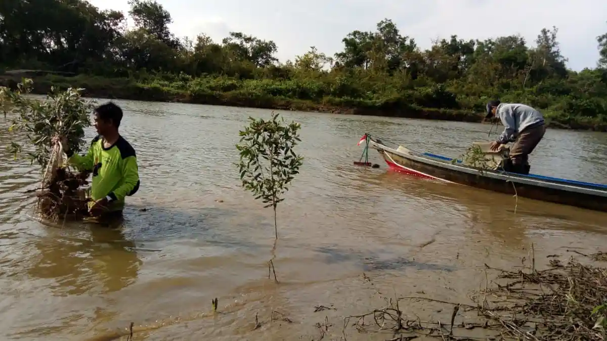 Cegah Abrasi di Sungai Panjaratan, Pemuda Desa Lakukan Ini