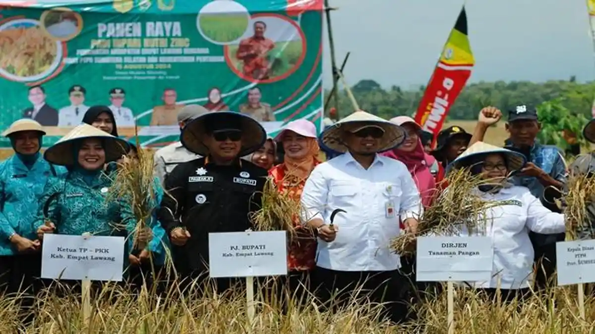 Pj Bupati Empat Lawang Ikut Panen Raya Padi Inpari Nutri Zinc di Paiker ...