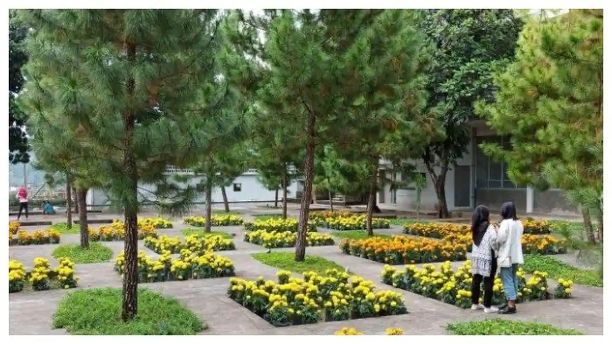 Rumah Atsiri Tawangmangu: Tempat Wisata yang Mengyuguhkan Aromaterapi Cocok Untuk Libur Lebaran 2025