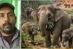 Jejak Gajah dalam Regenerasi Hutan Sumatera