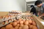 jual-telur-di-kilo-2-bpn.jpg