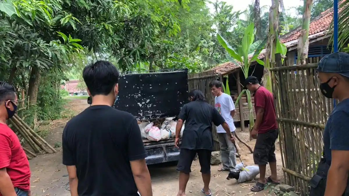 Pelaku Penyelundupan Anjing di Kulonprogo Telah Jalani Sidang Tindak Pidana Perdagangan Hewan