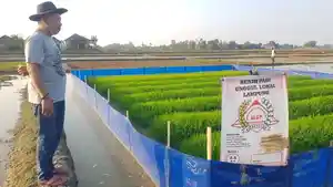 Anggota-DPRD-IndramayuEMA.jpg