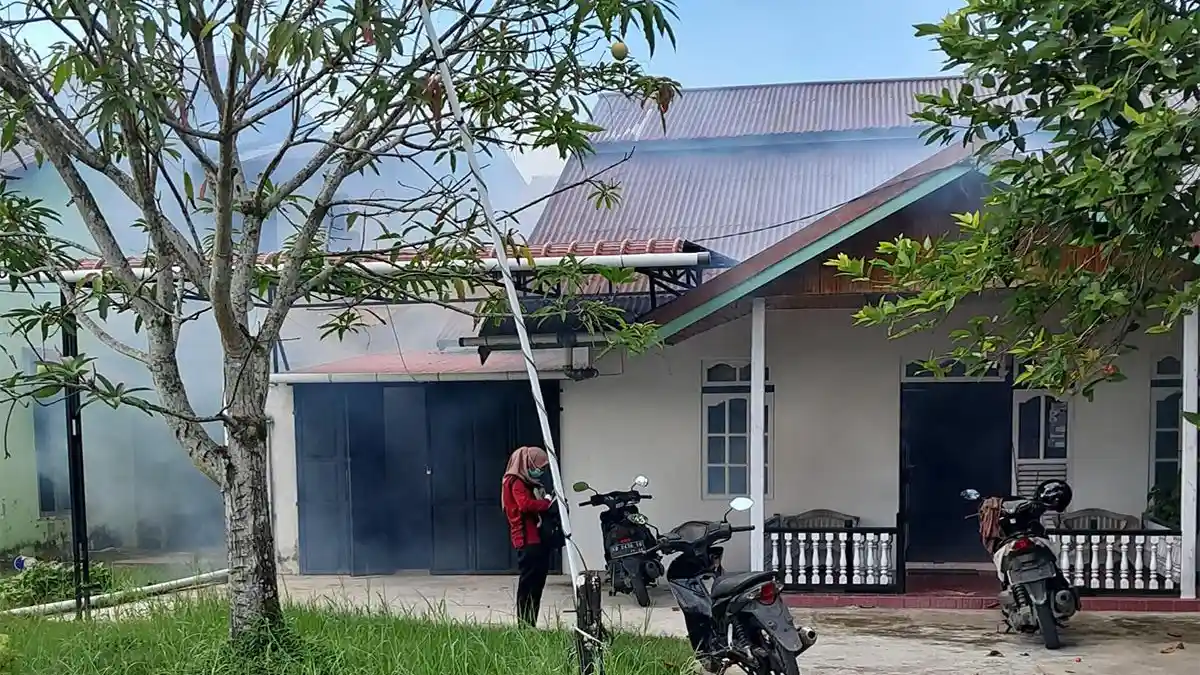 81 Warga Kubu Raya Terserang DBD Sepanjang 2026, Dinkes Tingkatkan Kewaspadaan - Tribunpontianak.co.id