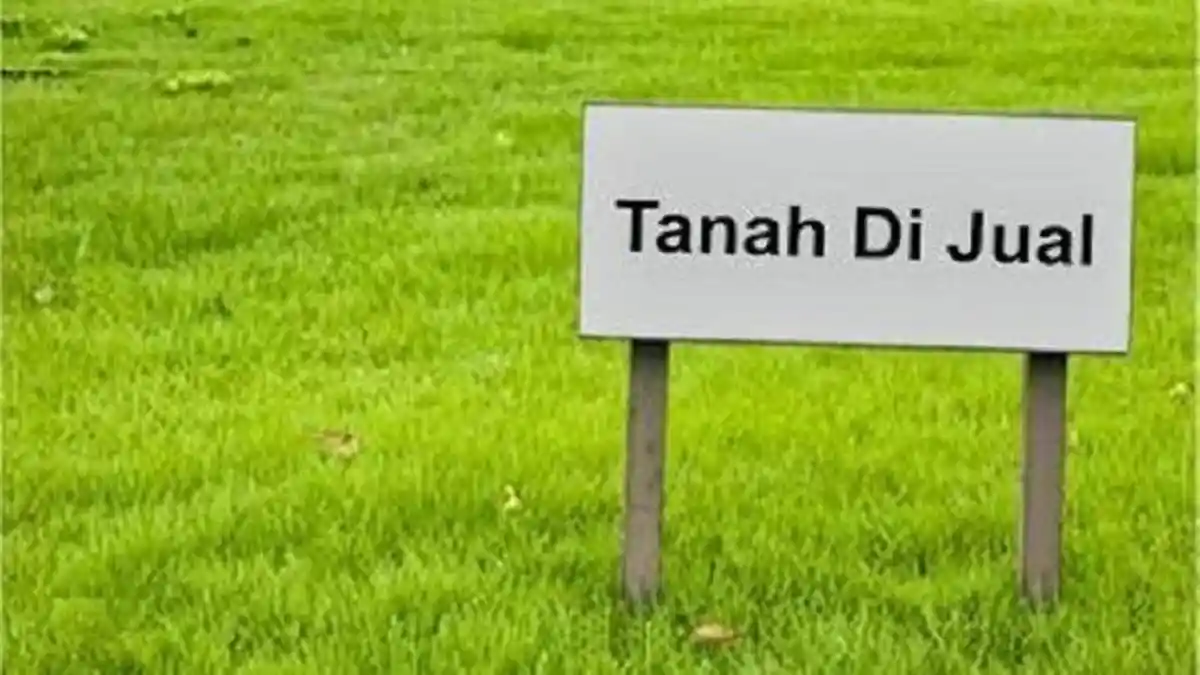 Menghindari Sengketa, Simak 5 Hal yang Perlu Diperhatikan Saat Melakukan Jual Beli Tanah