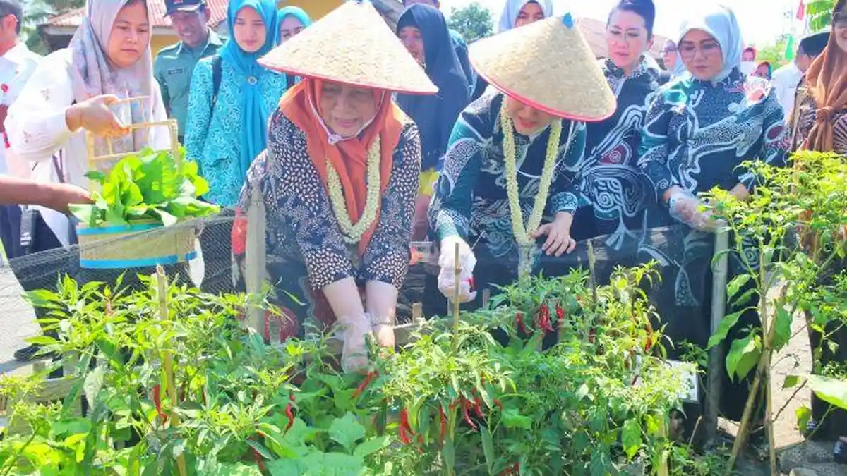 Tim Monitoring PKK Sumut Kunjungi Desa Banyumas Kabupaten Langkat