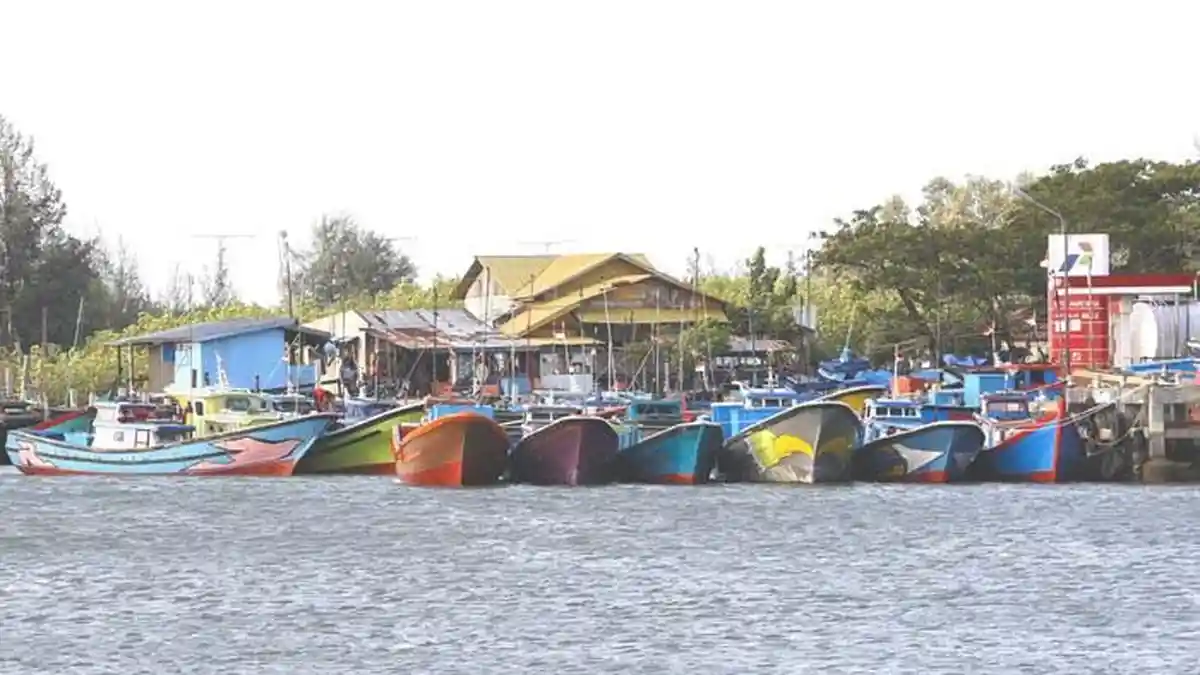 Tangkapan Nelayan Aceh Jaya Minim, Ikan Dipasok dari Luar Daerah