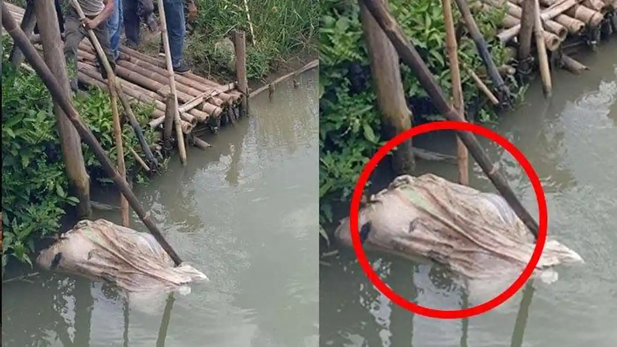 HEBOH MAYAT DALAM KOPER, Kini Mayat dalam Karung, Bukti Pembunuhan dan Sejumlah Luka di Tubuh Korban