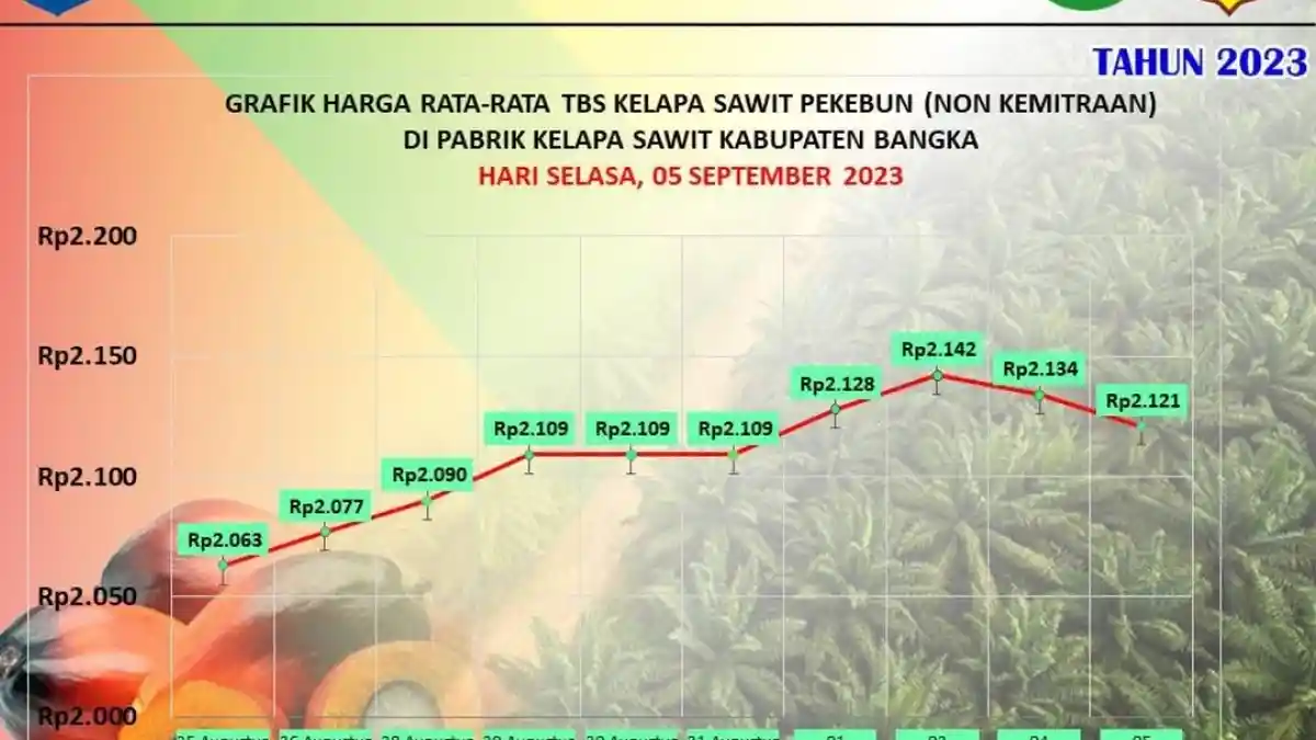 Harga TBS Sawit di Kabupaten Bangka Bergerak Turun