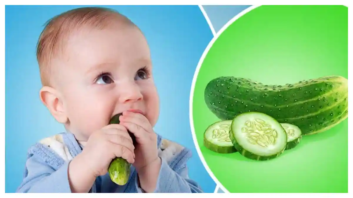 5 Manfaat Buah Mentimun untuk Bayi, Memberi Asupan Mineral hingga Perbaiki Pencernaan Anak