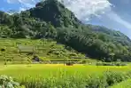 Menelusuri-Pesona-Desa-Wisata-Srikeminut-Obat-Penawar-Hiruk-Pikuk-Perkotaan.jpg