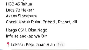 viral-di-media-sosial-iklan-jual-pulau-Rp65-miliar.jpg