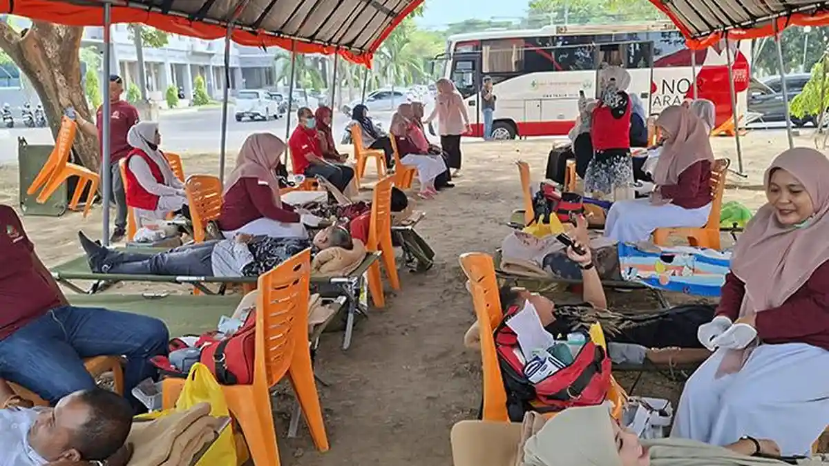 Ini Aneka Kegiatan di HUT Bireuen, Termasuk Donor Darah Kumpulkan 378 Kantong