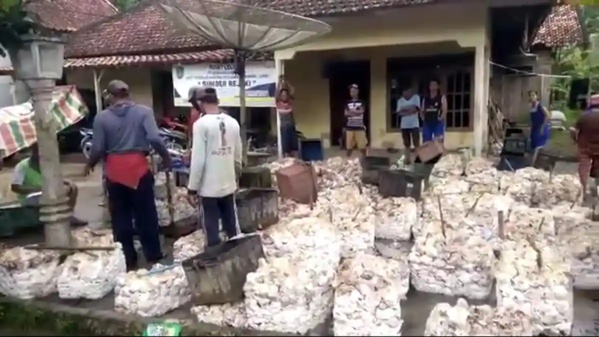 Harga Karet di Sumsel Hari Ini 16 Desember, Kadar 100 Persen Ada Sedikit Kenaikan Harga