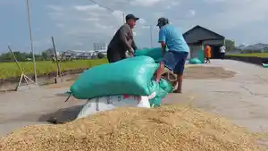 20250814_Pekerja-mengangkut-karung-berisi-gabah_1.jpg