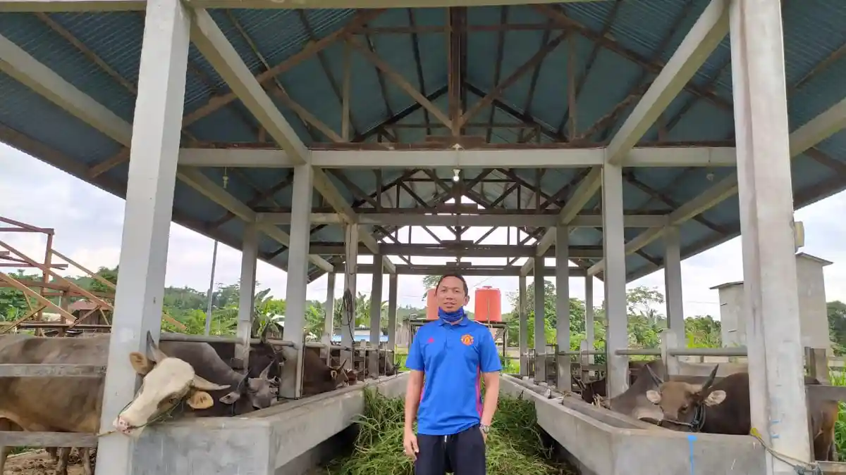 Jelang Idul Adha, Kepala Rumah Potong Hewan Kutim Sebut Penjagal tak Berani Stok Sapi Banyak