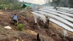Dalam-upaya-mendukung-program-ketahanan-pa23r.jpg