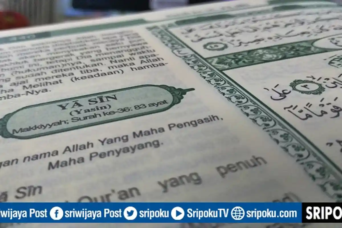 Bacalah Surat Ini di Malam Hari Maka akan Ditolong Allah, Saat Subuh Dosa-dosanya Telah Allah Ampuni