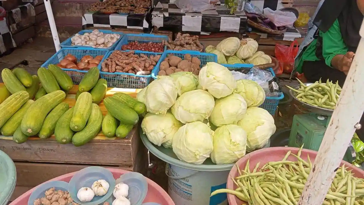 Panen Melimpah, Harga Sayur Kol di Pasar Langgur Merosot, Rp 15 ribu Per Kilogram