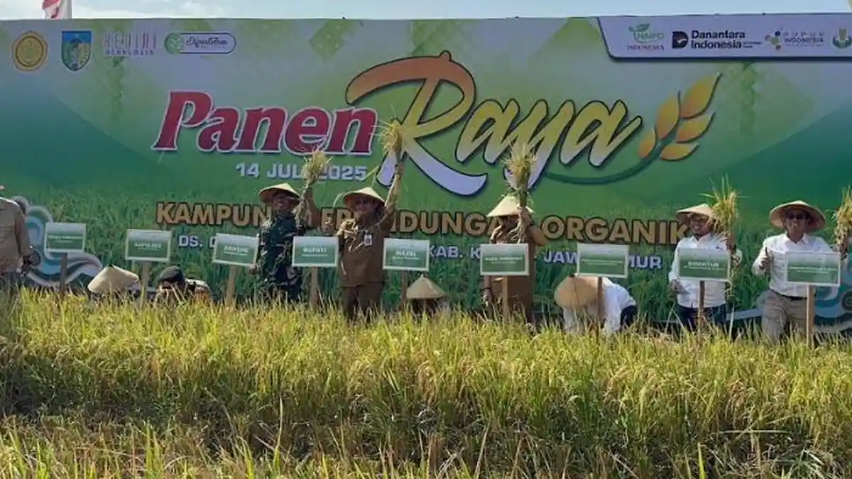 HIMPO Indonesia laksanakan Panen Raya Kampung Perlindungan Organik ...