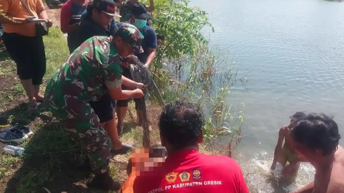 Penemuan Jasad Pria Tanpa Identitas, Mengapung di Tambak Desa Boboh Menganti Gresik