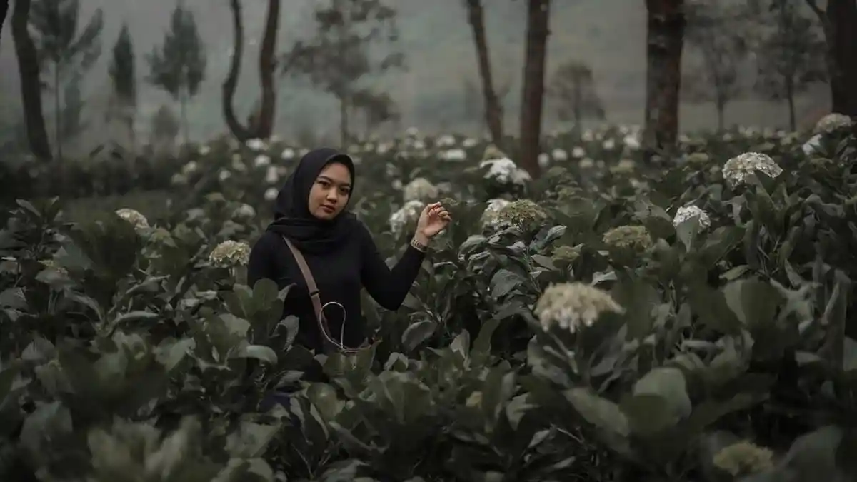 Selain Gunung Panderman, Ini 6 Tempat Wisata Alam di Kota Batu