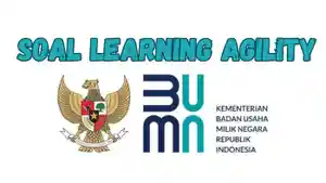 Download-Soal-Materi-Learning-Agility-Seleksi-BUMN-2024-Lengkap-Kunci-Jawaban-dan-Materi-Lainnya.jpg