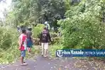Pohon-tumbang-di-ruas-Jalan-Sea-Warembungan-Desa-Sea-Minahasa.jpg