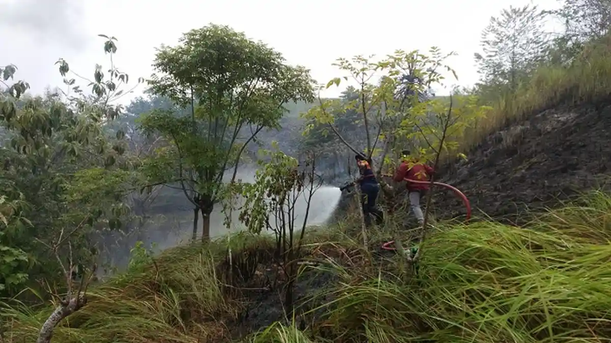 Kebakaran Lahan Kembali Terjadi di Lhokseumawe