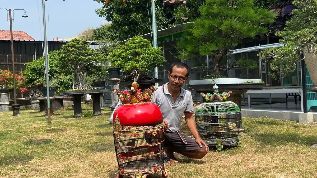 Hobi yang Dibayar, Pria Ponorogo Raup Omzet Ratusan Juta Rupiah Ternak Burung Perkutut