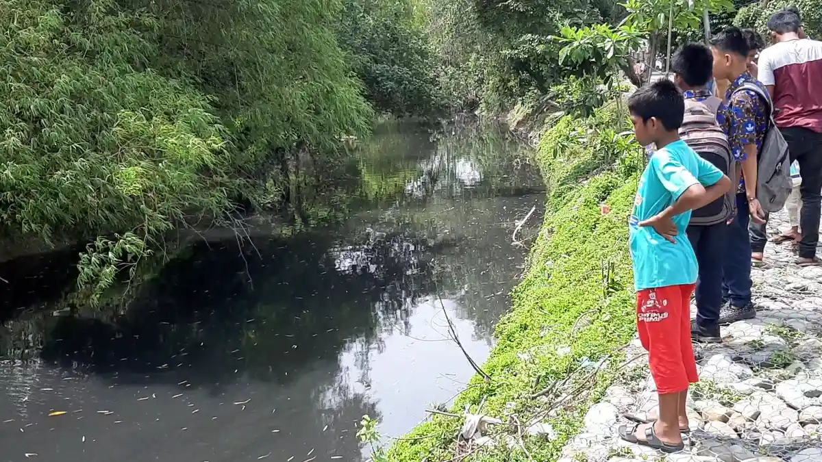 Hasil Pengujian DLH Pidie, Air Sungai Tiro Terpapar Limbah Pabrik Sagu dan Tahu